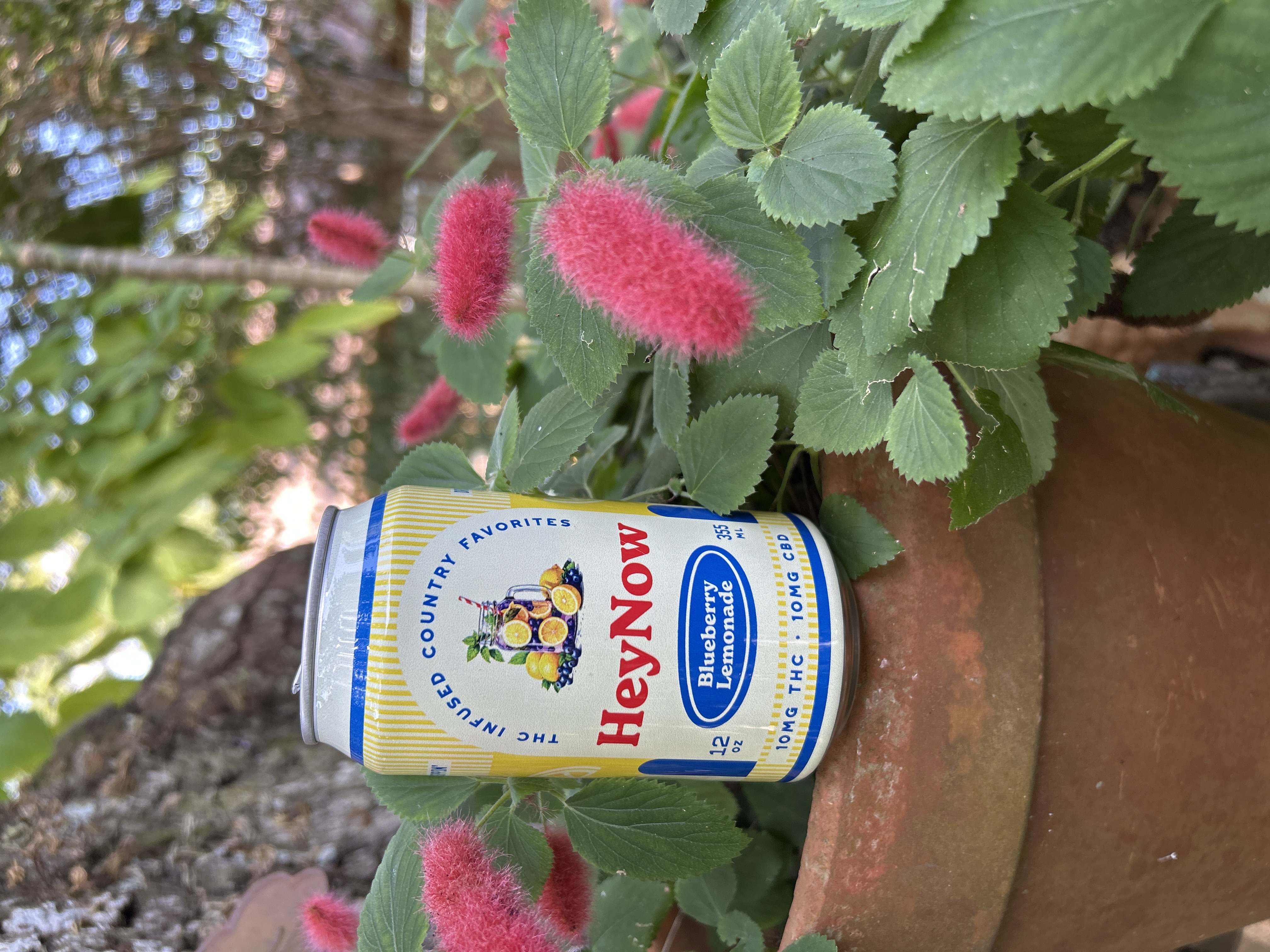 Blueberry Lemonade